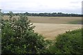 Arable land, Easingwold in YO61 3LA