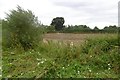 Arable land, Crankley in YO61 3NZ