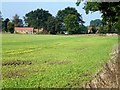 Farmland and Field Barn east of South Runcton, Norfolk in PE33 0FD