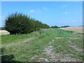 Farmland north of Gallow Lane in PE33 9HE