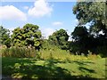 Small pond in Shouldham Thorpe, Norfolk in PE33 0DT