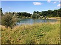 Lake near Stowbridge in Norfolk in PE34 3PT