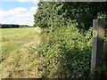 Footpath next to Gravel Pit Plantation, Wimbotsham, Norfolk in PE34 3QB