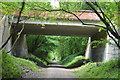 Garden Wood Road Bridge in RH19 1NP