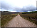 The track leading up Strath Rory follows the forest edge. in IV17 0YD