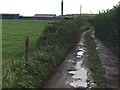 Farm Track in CF35 6LZ