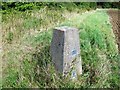 Trig point north of Crimplesham in Norfolk in PE33 9DU