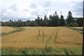 Tracks in a field at Castle Menzies in PH15 2JD
