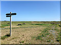 Signpost and picnic tables, RSPB Bowers Marsh in SS7 5BN