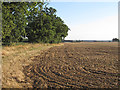 Recently tilled field, Oak Road, Halstead in CO9 2RR
