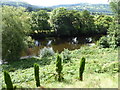 The River Usk at Llanwenarth near Abergavenny in NP8 1EP