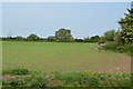 Field near Ivychurch in TN29 0AL