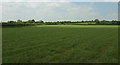 Farmland near Stour Provost in SP8 5LX