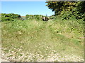 Footpath goes northwards from farm road in Coombes