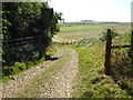 Footpath going down to Cow Bottom in Coombes