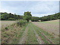Bridleway through farmland up to Up Cerne Wood in DT2 7AY