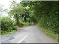 Road leading downhill from Shackel Cross in EX15 3PN