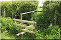 Double stile near Stour Provost in SP8 5LX