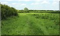 Field path near Stour Provost in SP8 5LX