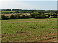 Farmland, north of Allowenshay in TA19 0QS