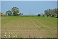 Farmland, Romney Marsh in TN29 0AA