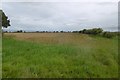 Field off Beninbrough Lane in YO30 1BY