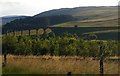 Langside Burn valley and Shankend Viaduct from the B6399 in TD9 9UB