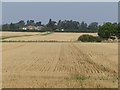 Fields east of Burton upon Stather in DN15 9HS