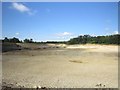 Quarry in Westmills Plantation, near Forde Abbey in TA20 4LP