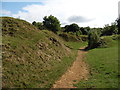 Path through the Victorian quarry spoil heaps, Ham Hill in TA14 6SS