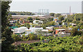 Allotments viewed from St Nicholas Bridges - September 2016 in CA2 5LG