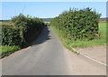 West along hedge-lined St Briavels Road, Woolaston in NP16 7LT
