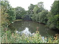 Side pond at Upton Warren Outdoor Education Centre in B61 7ER