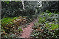 Footpath in Hocombe Upper Plantation in SO21 2LE