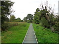 Raised pathway over boggy ground in B60 4DU