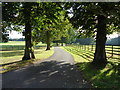 Avenue up to Brockencote Hall, Chaddesley Corbett in DY10 4PS