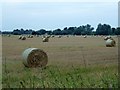 Rolls of straw near Waterbeach in CB25 9NJ