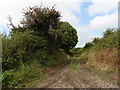 Track, north of Lopen Lane in Over Stratton