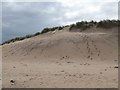 Dune above Lossiemouth East Beach in IV31 6JJ