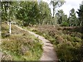 Path, Muir of Dinnet in AB34 5NB