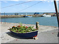A harbour-front garden in Johnshaven