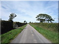 Lane heading north west in Holme Abbey