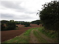 Farm track to Saltmarshe Castle in HR7 4WE