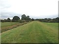 Flood Bank and Footpath at Bentley Ings in DN5 0DH