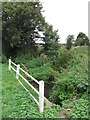 Roadside stream near Radcot in SN7 8EA