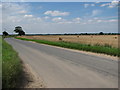 Farmland near Saxthorpe in NR11 7BG