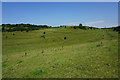 Strip lynchets on Hinton Hill in SN14 8HY
