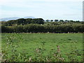 Farmland west of Holme St Cuthbert in Holme St. Cuthbert