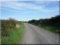 Minor road towards Newtown in Holme St. Cuthbert