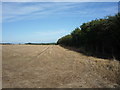 Stubble field and hedgerow in CA7 3EH